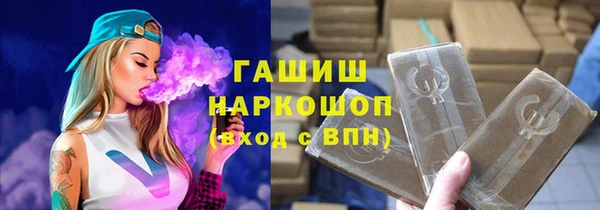 гидра Бородино