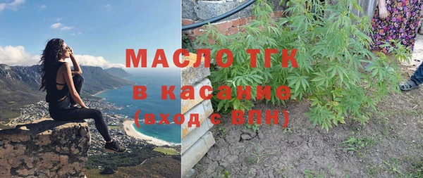 гидра Бородино