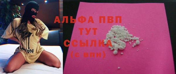 гидра Бородино