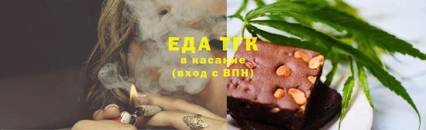 гидра Бородино