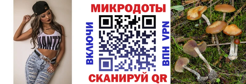 Псилоцибиновые грибы ЛСД  площадка наркотические препараты  Кизел 